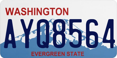 WA license plate AYQ8564