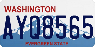 WA license plate AYQ8565