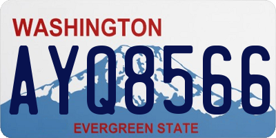 WA license plate AYQ8566