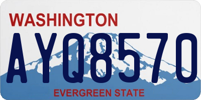 WA license plate AYQ8570