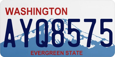 WA license plate AYQ8575
