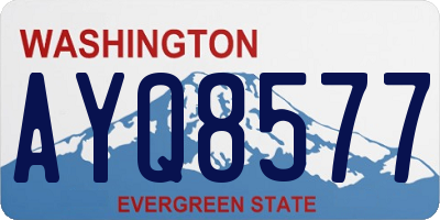 WA license plate AYQ8577