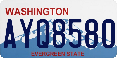 WA license plate AYQ8580