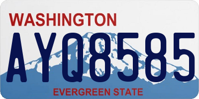 WA license plate AYQ8585