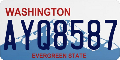 WA license plate AYQ8587