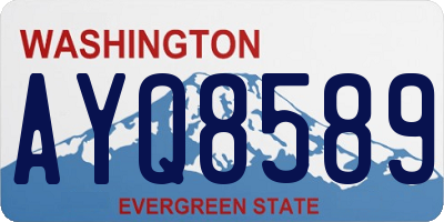 WA license plate AYQ8589