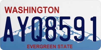 WA license plate AYQ8591