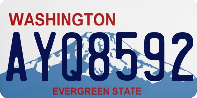 WA license plate AYQ8592