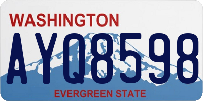 WA license plate AYQ8598