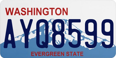 WA license plate AYQ8599