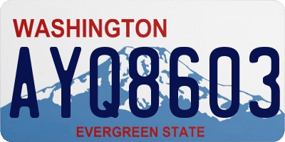WA license plate AYQ8603