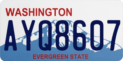 WA license plate AYQ8607