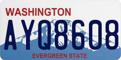 WA license plate AYQ8608