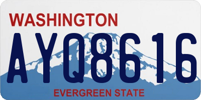 WA license plate AYQ8616