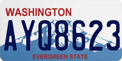 WA license plate AYQ8623