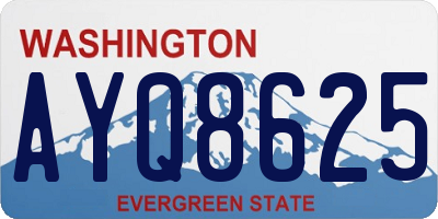 WA license plate AYQ8625