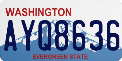 WA license plate AYQ8636