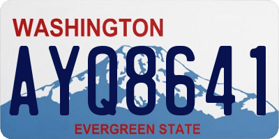 WA license plate AYQ8641