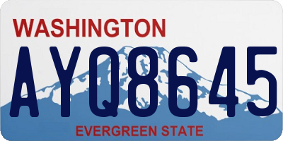 WA license plate AYQ8645