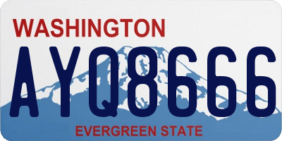 WA license plate AYQ8666