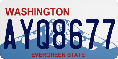 WA license plate AYQ8677