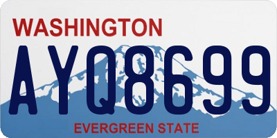 WA license plate AYQ8699