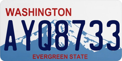 WA license plate AYQ8733