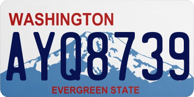 WA license plate AYQ8739