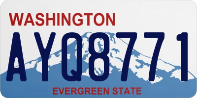 WA license plate AYQ8771