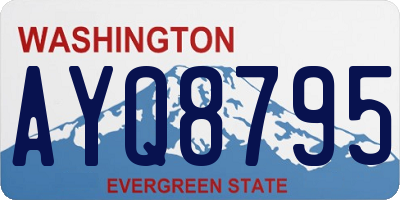 WA license plate AYQ8795