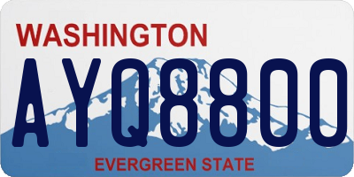 WA license plate AYQ8800