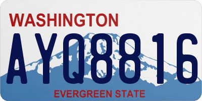 WA license plate AYQ8816