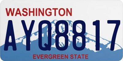 WA license plate AYQ8817