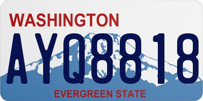 WA license plate AYQ8818