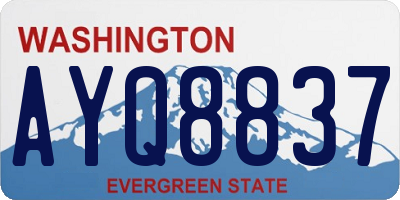 WA license plate AYQ8837