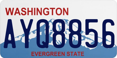 WA license plate AYQ8856