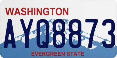 WA license plate AYQ8873