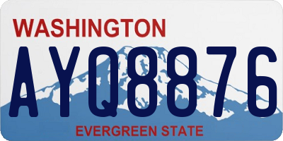 WA license plate AYQ8876
