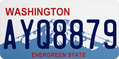 WA license plate AYQ8879
