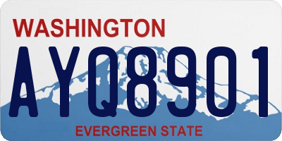 WA license plate AYQ8901