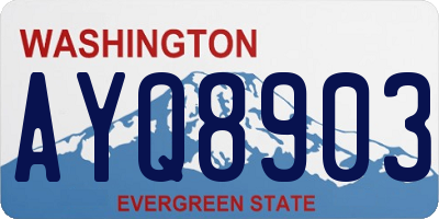 WA license plate AYQ8903
