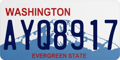 WA license plate AYQ8917