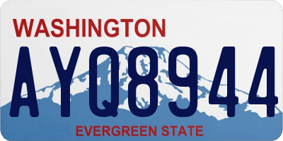 WA license plate AYQ8944