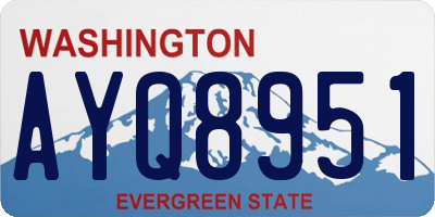 WA license plate AYQ8951