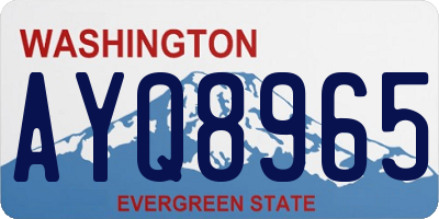WA license plate AYQ8965