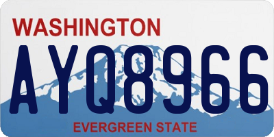 WA license plate AYQ8966