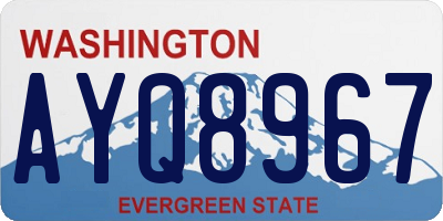 WA license plate AYQ8967