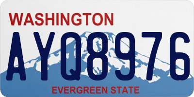 WA license plate AYQ8976