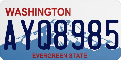 WA license plate AYQ8985