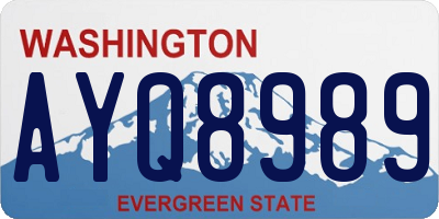 WA license plate AYQ8989